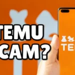 Is Temu Fake