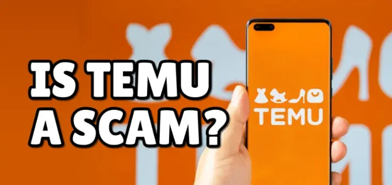 Is Temu Fake
