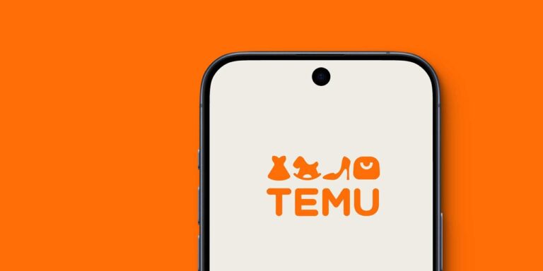 Is Temu Real or Fake